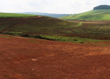 Uganda: Forest Cover Declines to 9 Percent As Mabira Gives Way